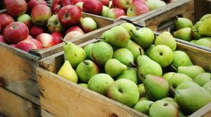 Fruit on the Market